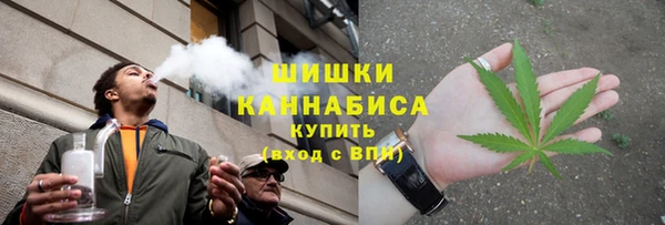 соль ск Арсеньев
