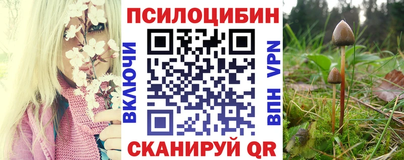 OMG зеркало  Теберда  Псилоцибиновые грибы мухоморы 