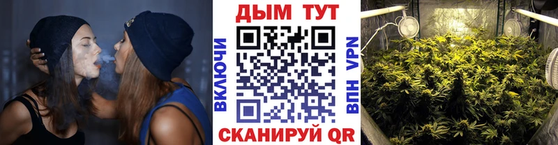 Канабис семена Теберда